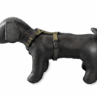 Frank showt zijn B-Friend tuigje