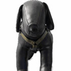 Frank showt zijn B-Friend tuigje