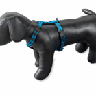 Frank showt zijn B-Friend tuigje met pootjesmotief