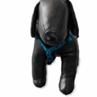 Frank showt zijn B-Friend tuigje met pootjesmotief