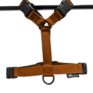 Tuigjes en lijnen op soort