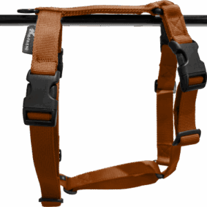 Effen kleuren tuigen en lijnen