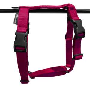 Tuigje Classic 4 clips - Fuchsia Op=Op