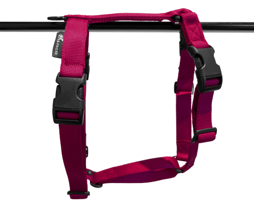 Tuigje Classic 4 clips - Fuchsia Op=Op Tuigje Classic 4 clips - Fuchsia Op=Op