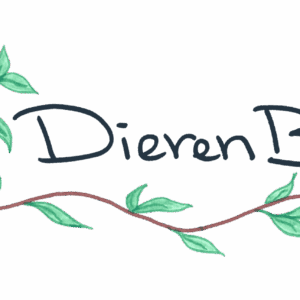 Supplementen gedrag en gezondheid