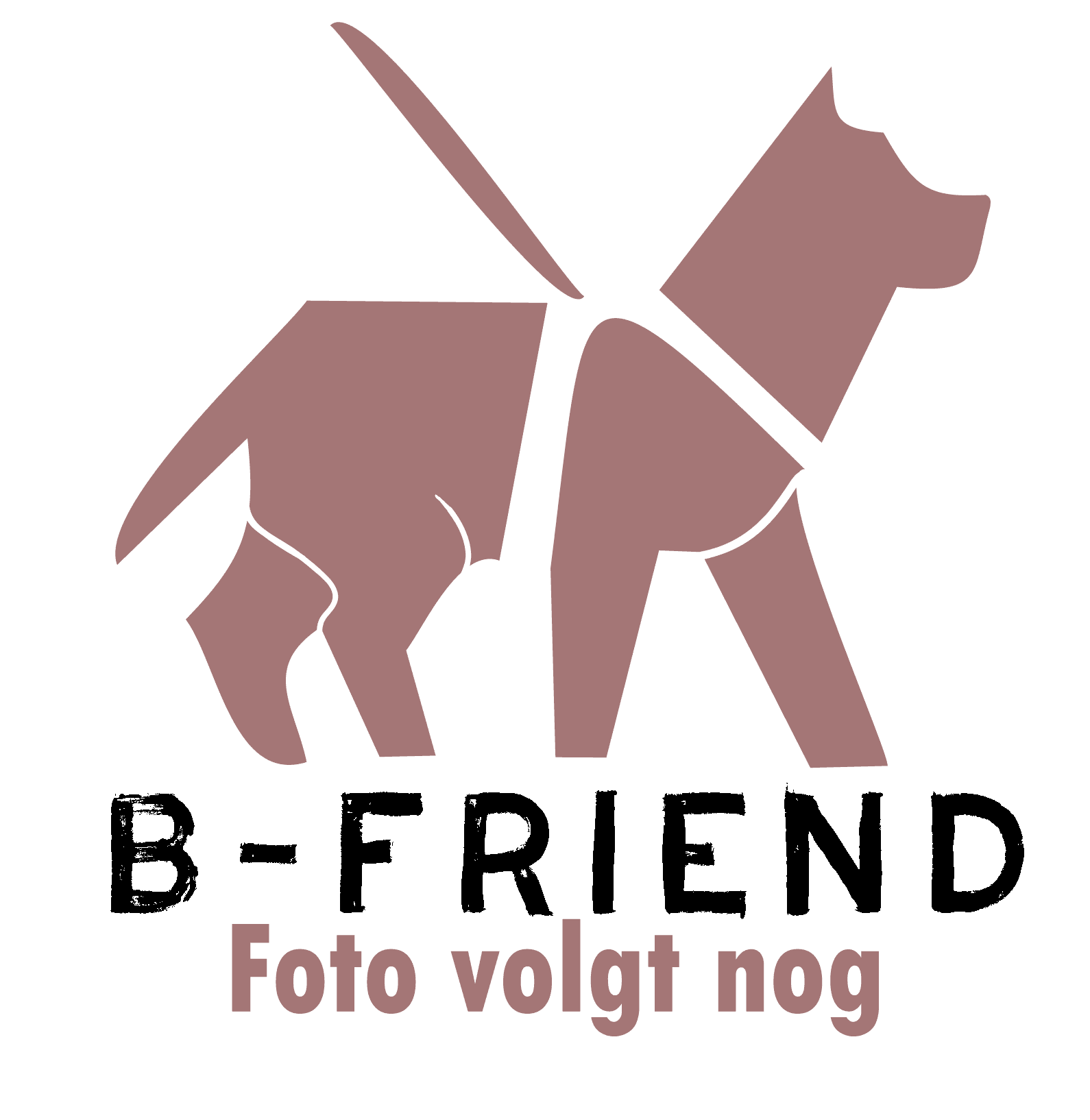 Premium looplijn vast - Extra grip