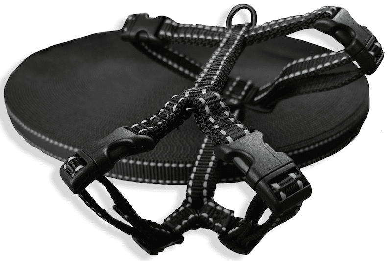 Reflecterende tuigjes